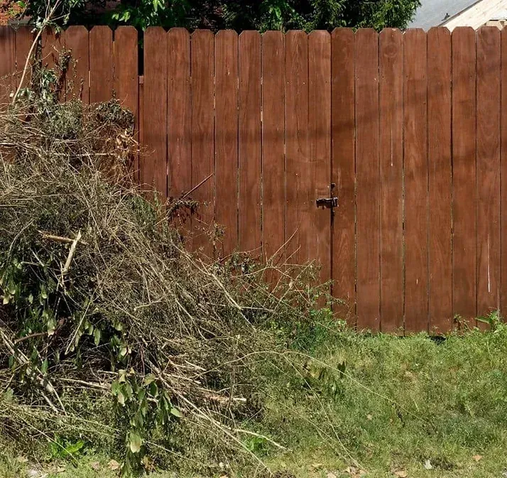 f5400a a21017d1474943a2aee4ad3f8fd5dac0 mv2 e63b9754 1200h