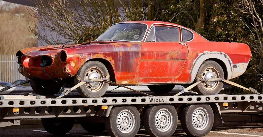 pexels photo 943930 1200h