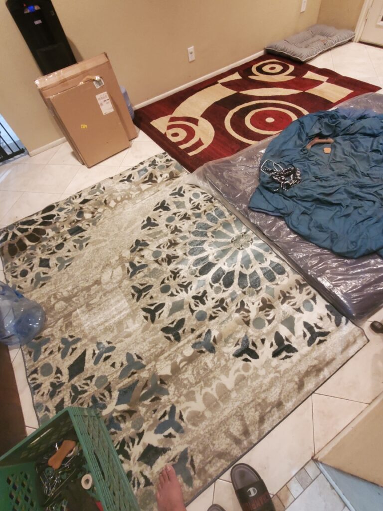 carpet disposal removal 1