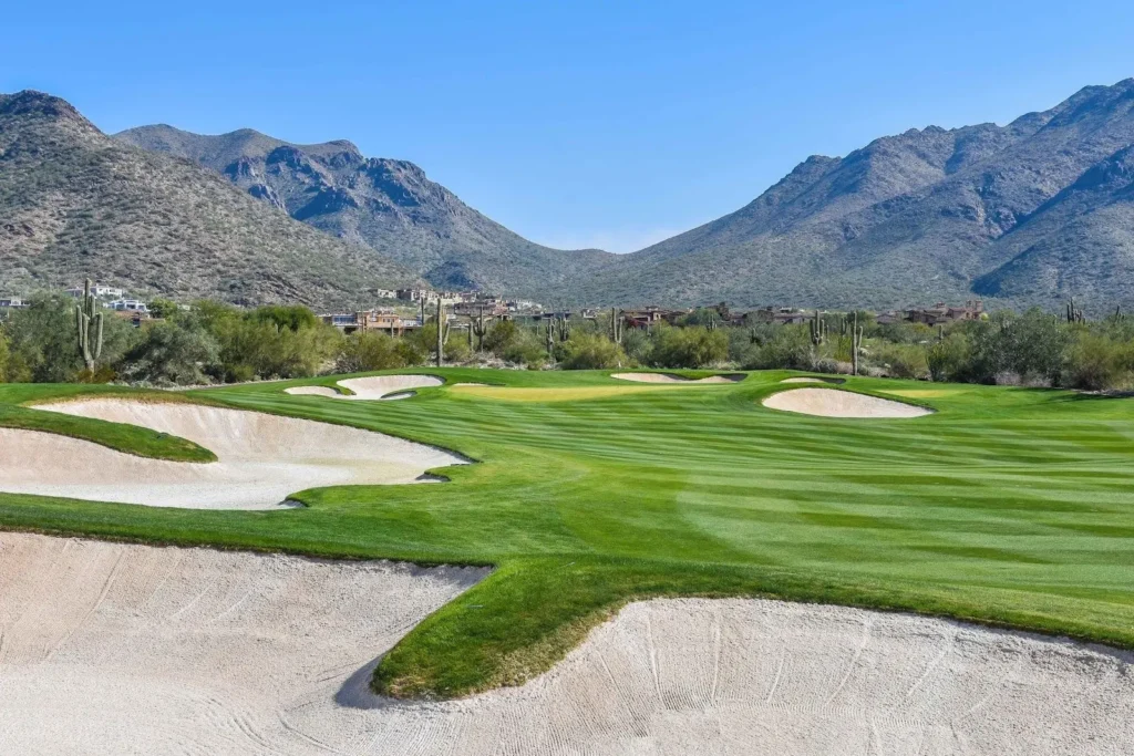 Dry Junk Removal & Dumpster Rentals