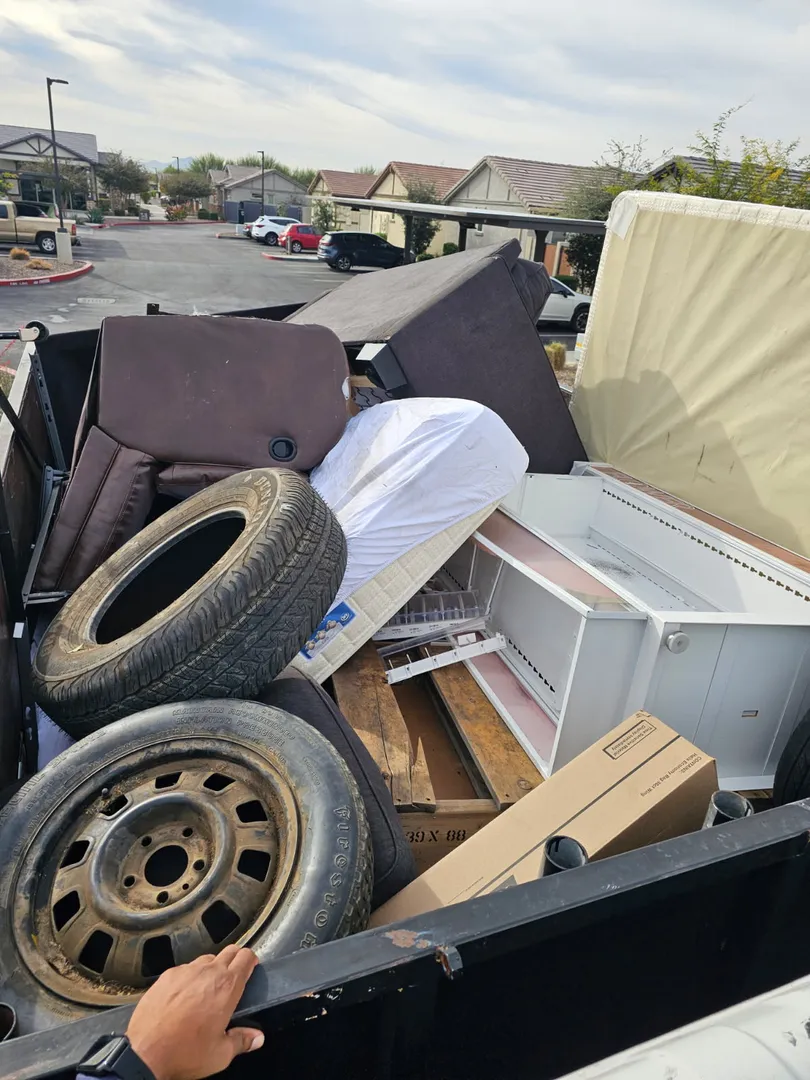 Proper disposal methods for bed bug infested furniture