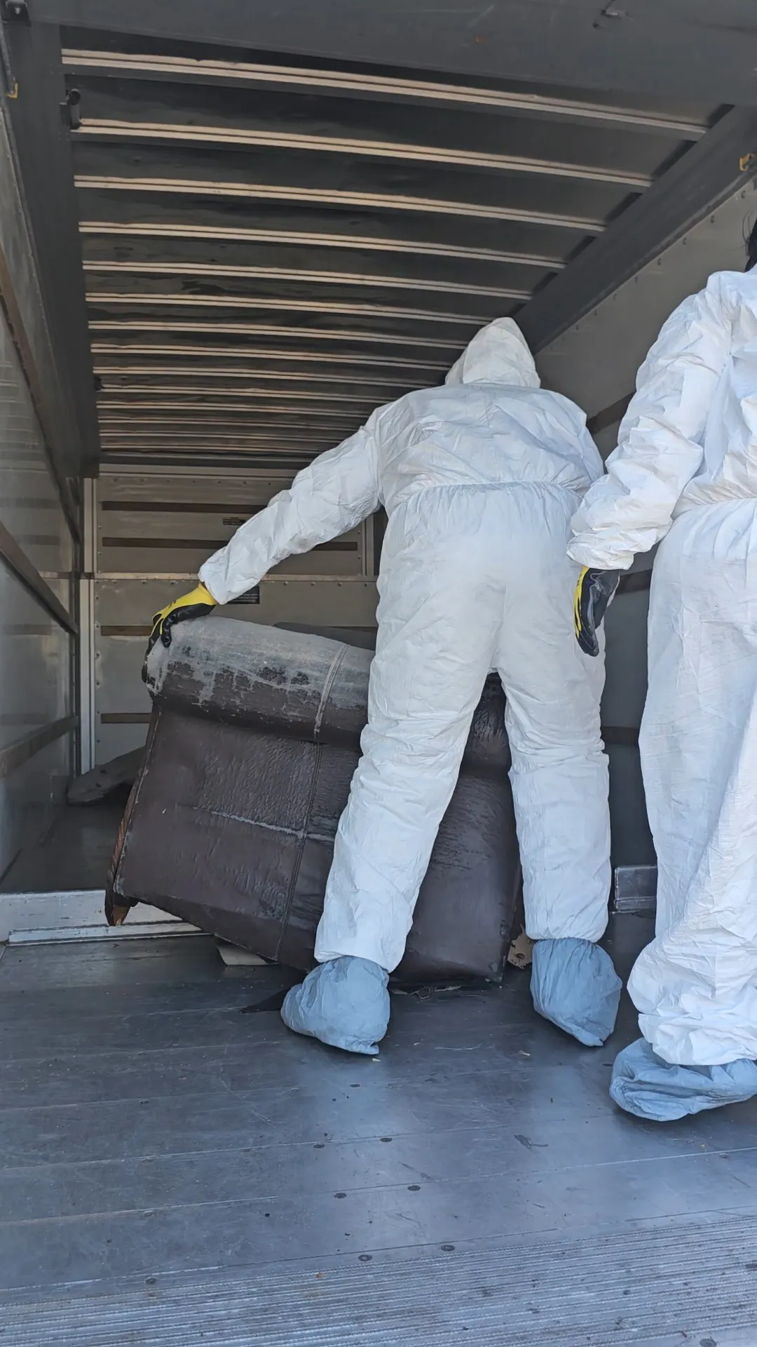Professional junk removal team handling infested furniture safely