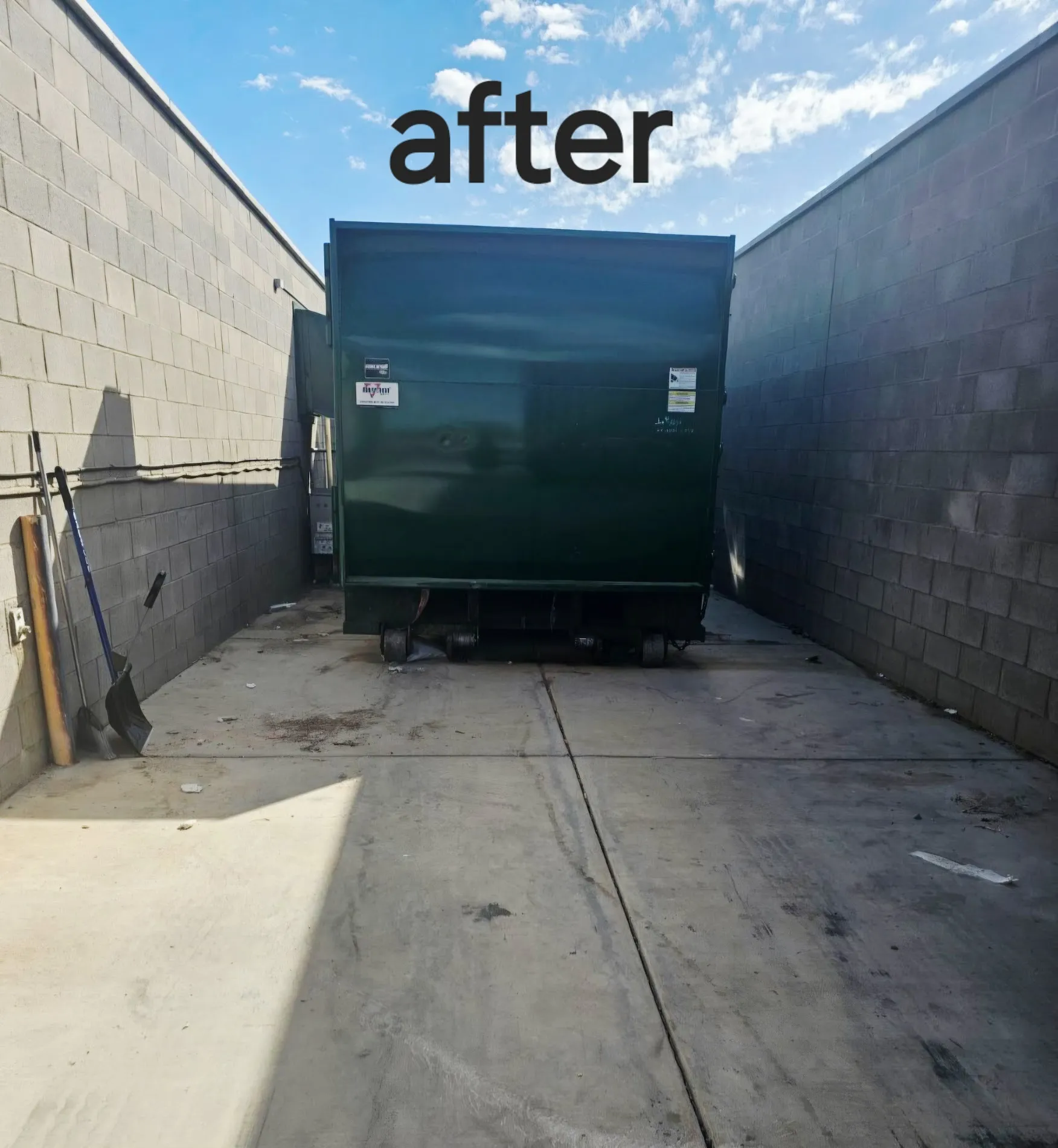 Commercial dumpster rental for bed bug cleanup, showcasing efficient waste management practices in a commercial setting.