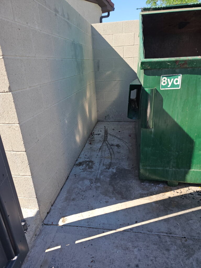 Dry Junk Removal & Dumpster Rentals