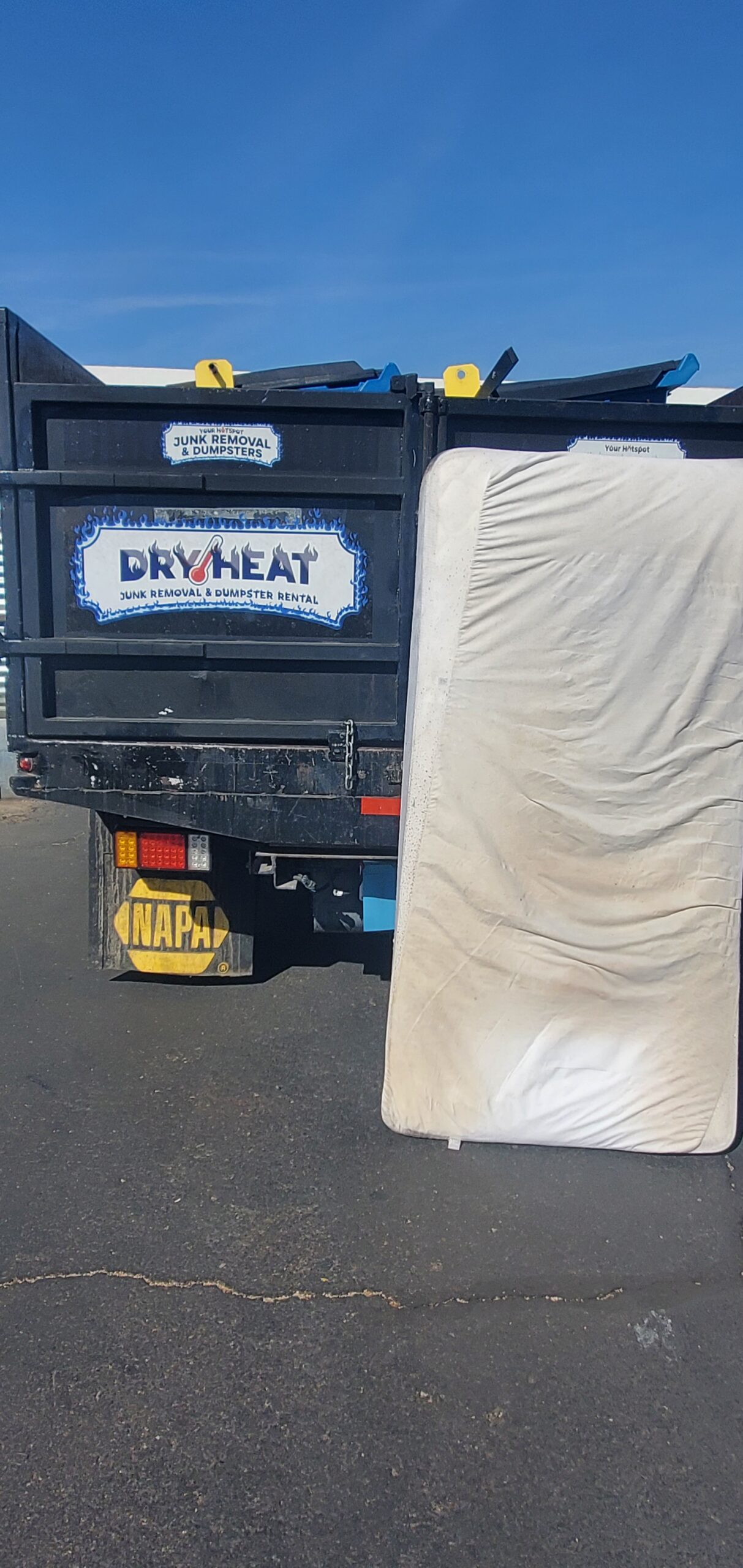 Bed Bug Mattress Removal