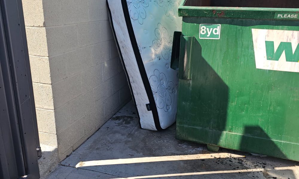 Dry Heat Bulk Trash Peoria, AZ 3.24.26 6378193866562433440