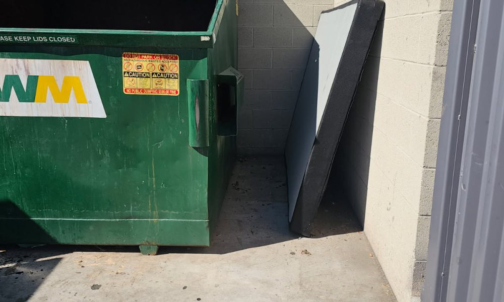 Dry Heat Bulk Trash Removal Peoria, AZ 3.24.26 6161459625591225192